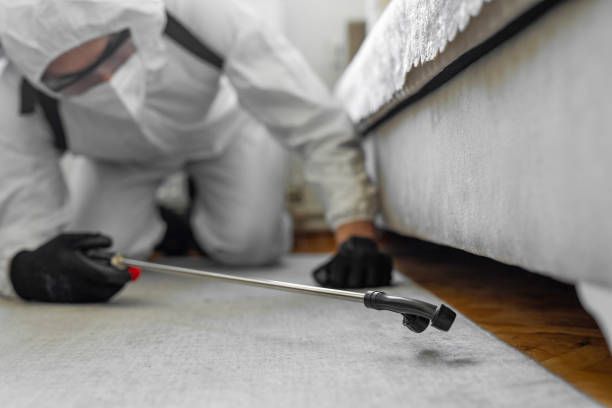 Professional Bed Bug Control technician working in Rockland County County, NY